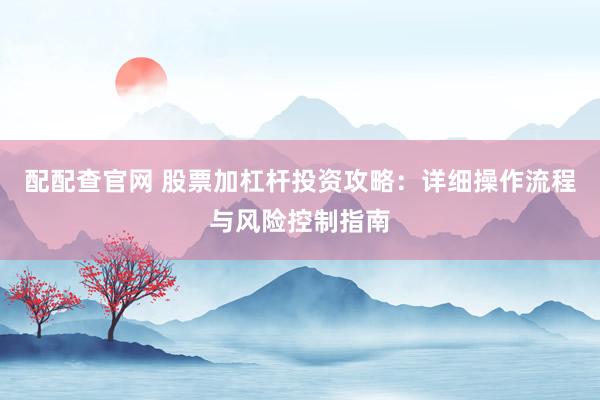 配配查官网 股票加杠杆投资攻略:详细操作流程与风险控制指南