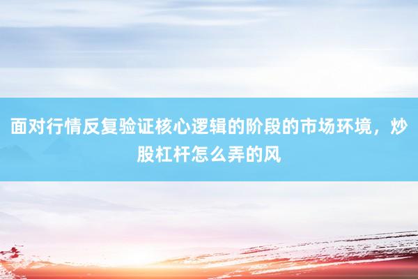 面对行情反复验证核心逻辑的阶段的市场环境,炒股杠杆怎么弄的风
