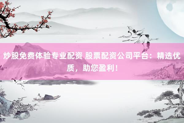 炒股免费体验专业配资 股票配资公司平台：精选优质，助您盈利！