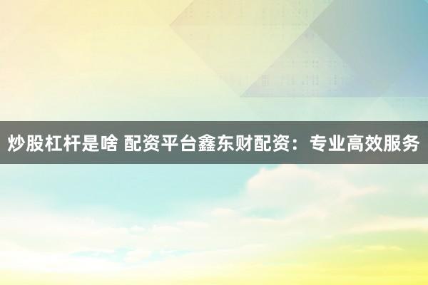 炒股杠杆是啥 配资平台鑫东财配资：专业高效服务
