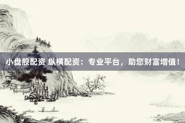 小盘股配资 纵横配资：专业平台，助您财富增值！